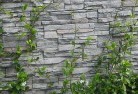 Seaford Meadowsgreen-walls-4.jpg; ?>