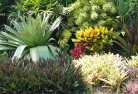 Seaford Meadowsplanting-garden-and-landscape-design-24.jpg; ?>
