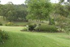 Seaford Meadowsplanting-garden-and-landscape-design-51.jpg; ?>