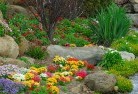 Seaford Meadowsplanting-garden-and-landscape-design-69.jpg; ?>